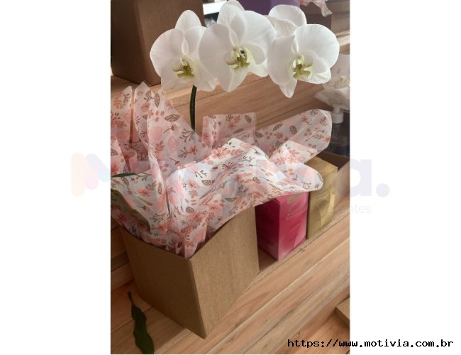 Arranjo de Orqu�dea Branca � Tamanho G