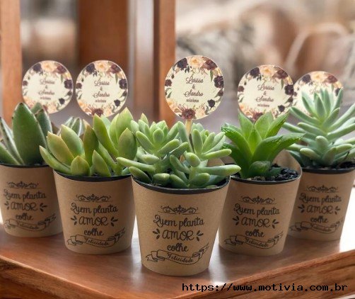 Mini plantinha suculenta com tag personalizada